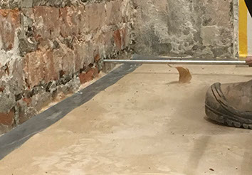 Ramon dakreiniging in Pittem