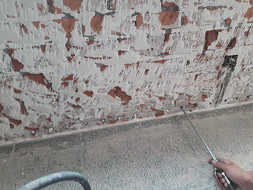 DAK ONTMOSSEN ICHTEGEM